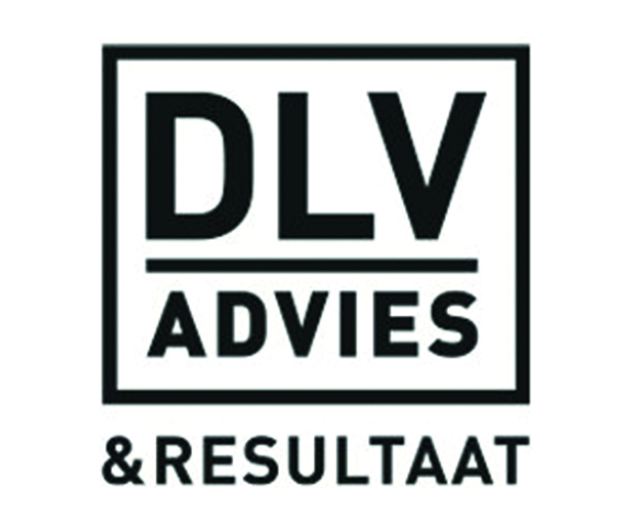 DLV Advies
