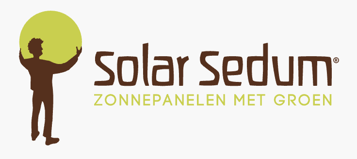 Solar Sedum
